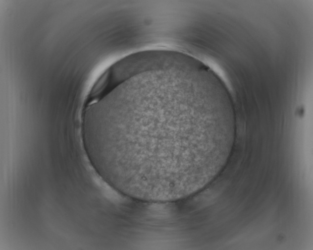 X0000092031480200709271559