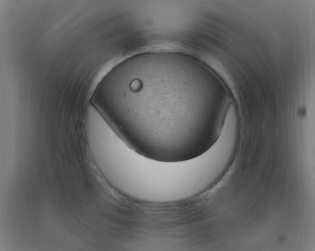 X0000092031481200709271559