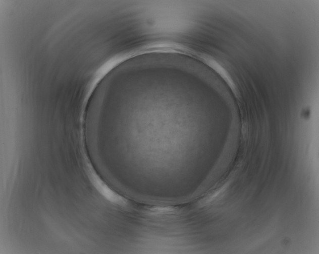 X0000092031482200709271559