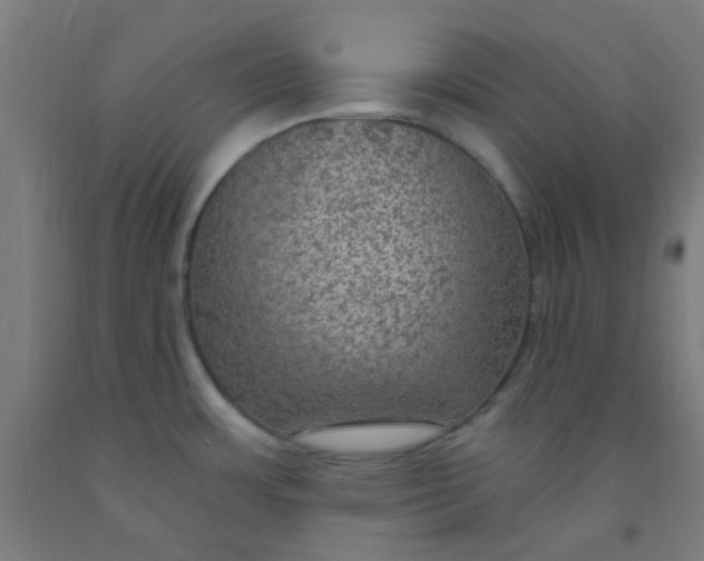 X0000092031483200709271559