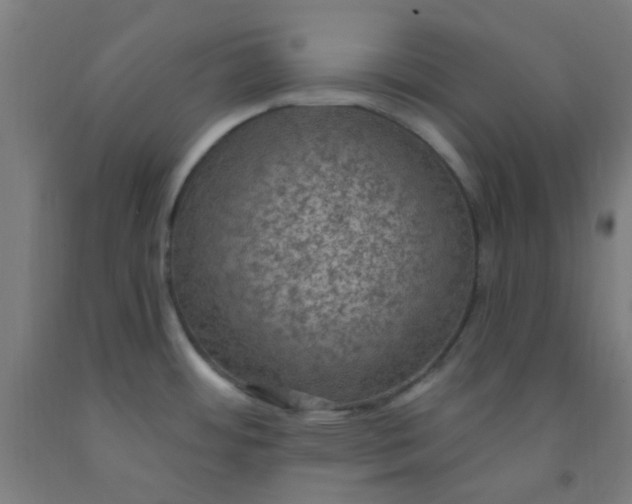 X0000092031484200709271559