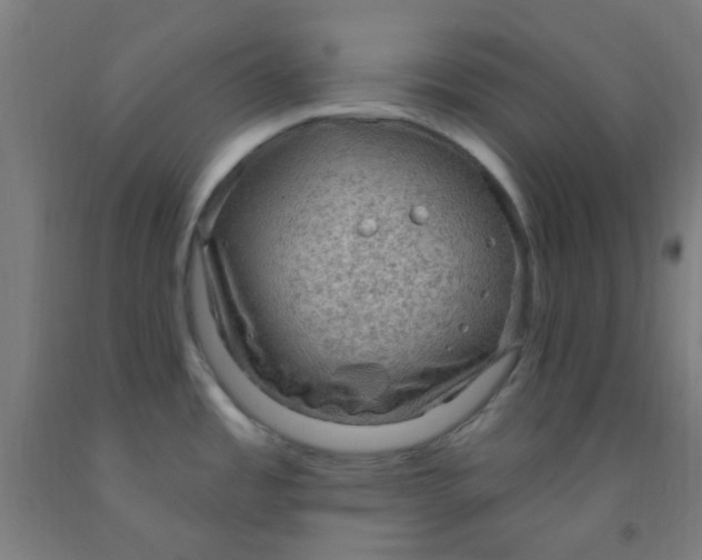 X0000092031485200709271559