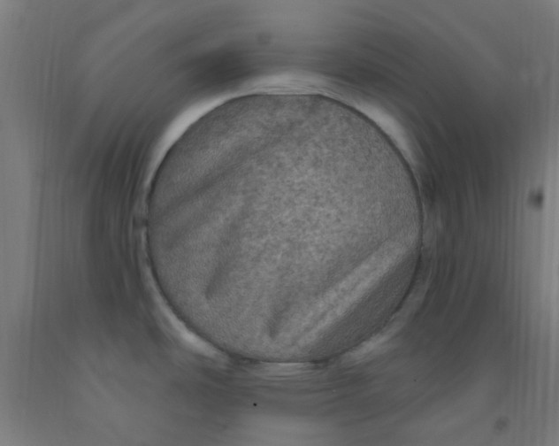 X0000092031486200709271559