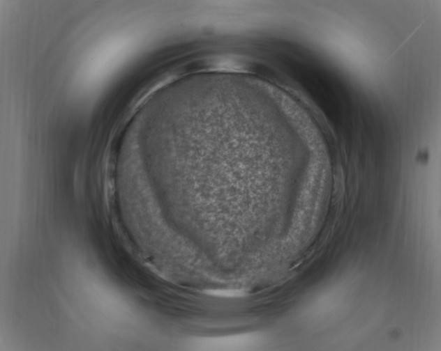 X0000092031487200709271559