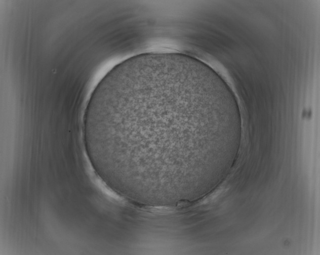 X0000092031488200709271559