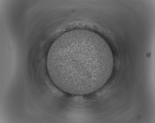 X0000092031489200709271558