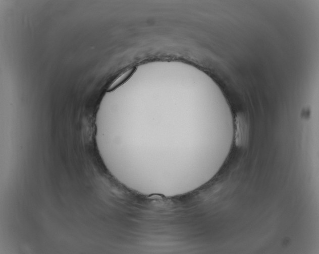 X0000092031491200709271559