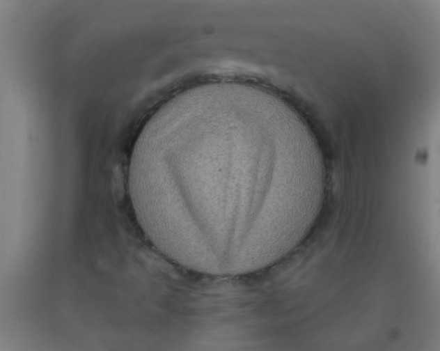 X0000092031493200709271559