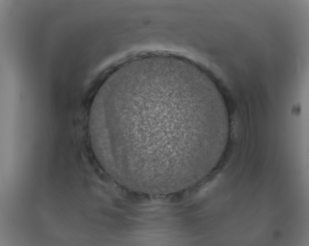 X0000092031494200709271559