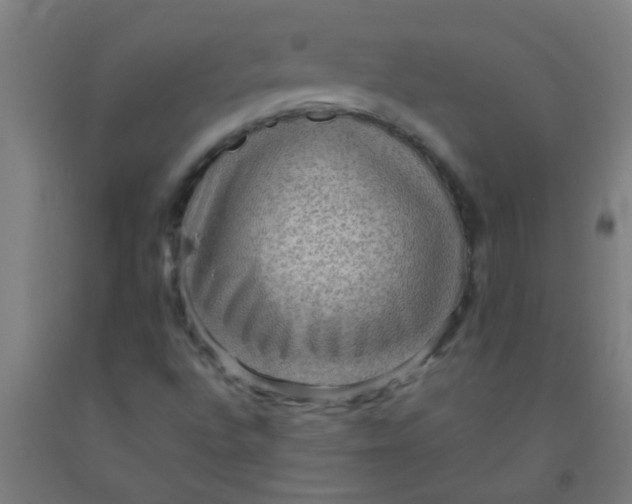 X0000092031496200709271559