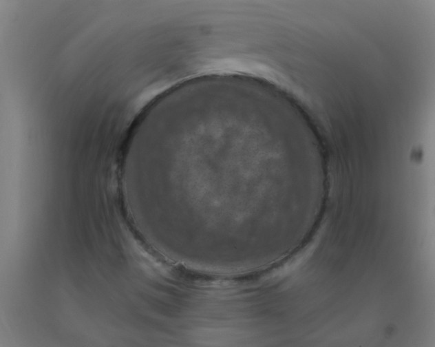 X0000092031497200709271559