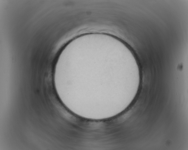 X0000092031498200709271559