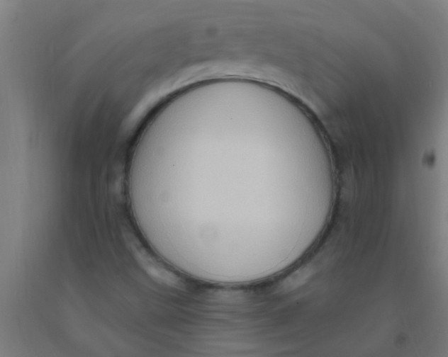 X0000092031499200709271559