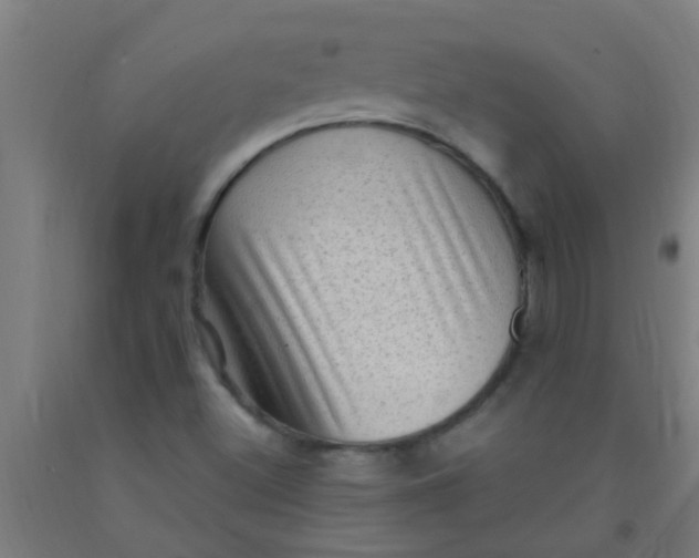 X0000092031500200709271559