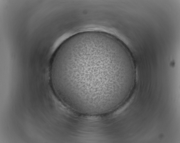 X0000092031501200709271559