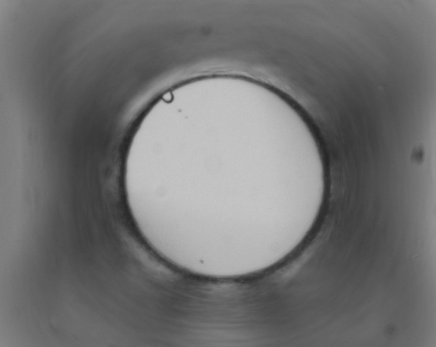 X0000092031502200709271559