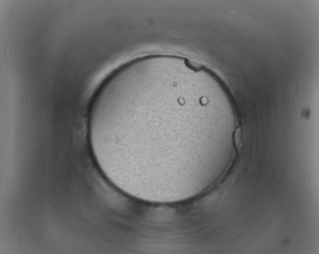 X0000092031503200709271559