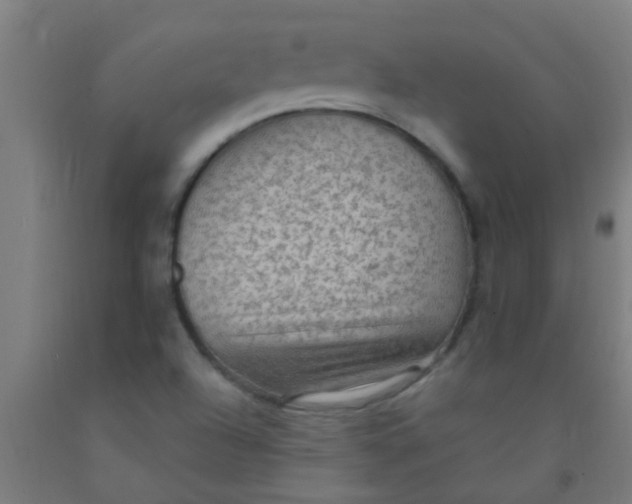 X0000092031504200709271559