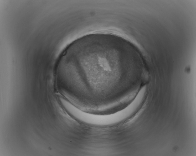 X0000092031506200709271559