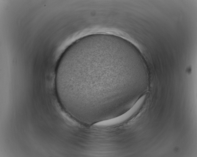 X0000092031507200709271559