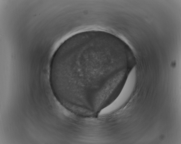 X0000092031508200709271559