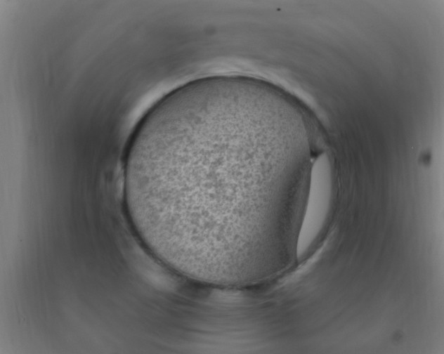 X0000092031509200709271559