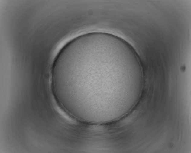 X0000092031511200709271559