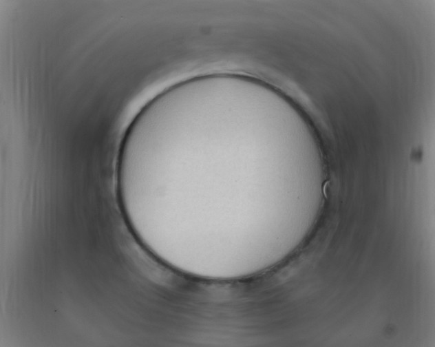 X0000092031512200709271559