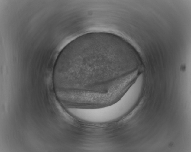 X0000092031513200709271559