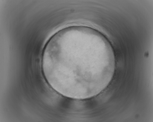 X0000092031514200709271559