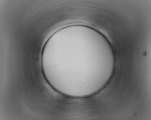 X0000092031516200709271559