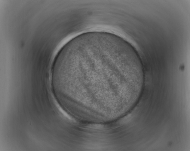 X0000092031517200709271559