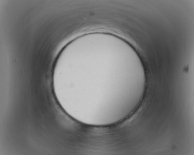 X0000092031518200709271559