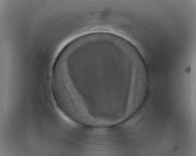 X0000092031519200709271559