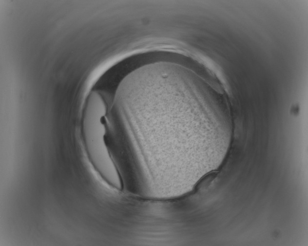 X0000092031520200709271559