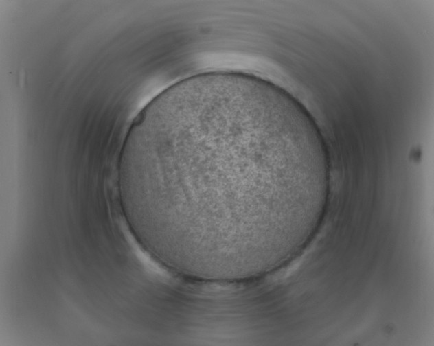 X0000092031521200709271559