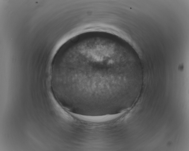 X0000092031522200709271559