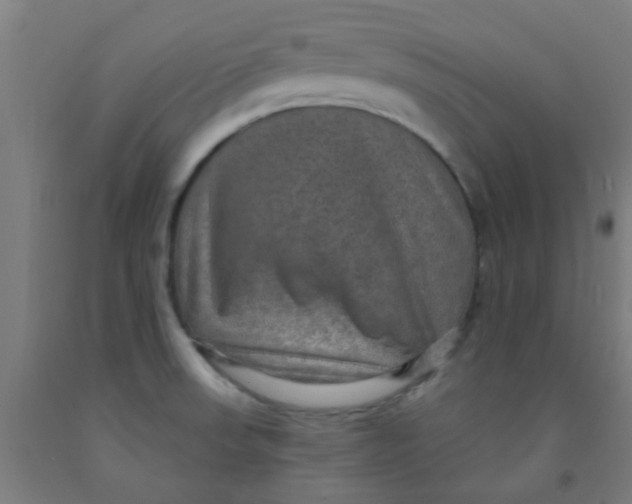 X0000092031523200709271559