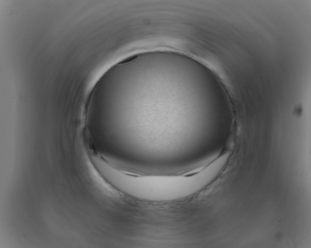 X0000092031524200709271559