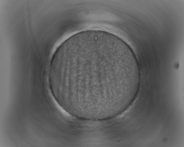 X0000092031525200709271559