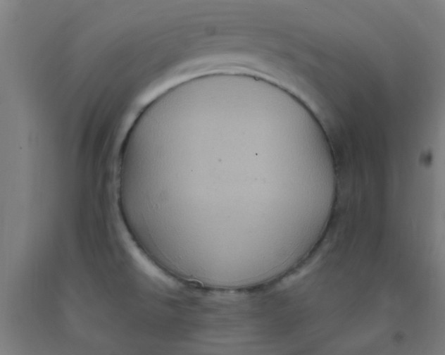 X0000092031526200709271559