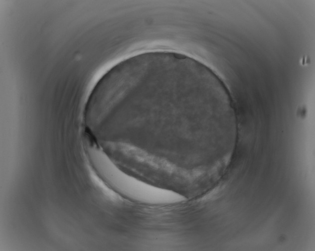 X0000092031527200709271559