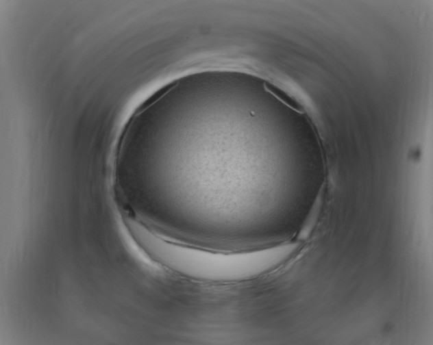 X0000092031528200709271559