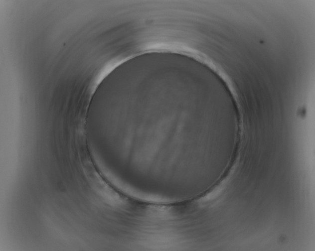 X0000092031529200709271559