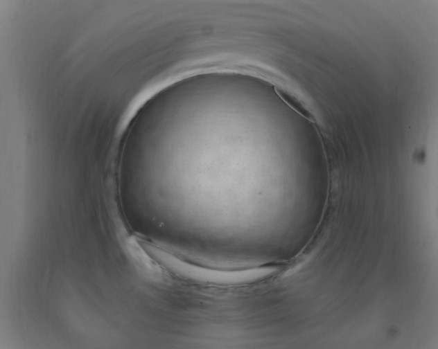 X0000092031530200709271559