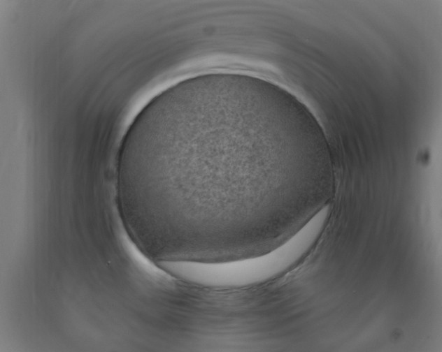 X0000092031531200709271559