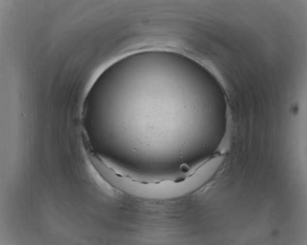 X0000092031532200709271559