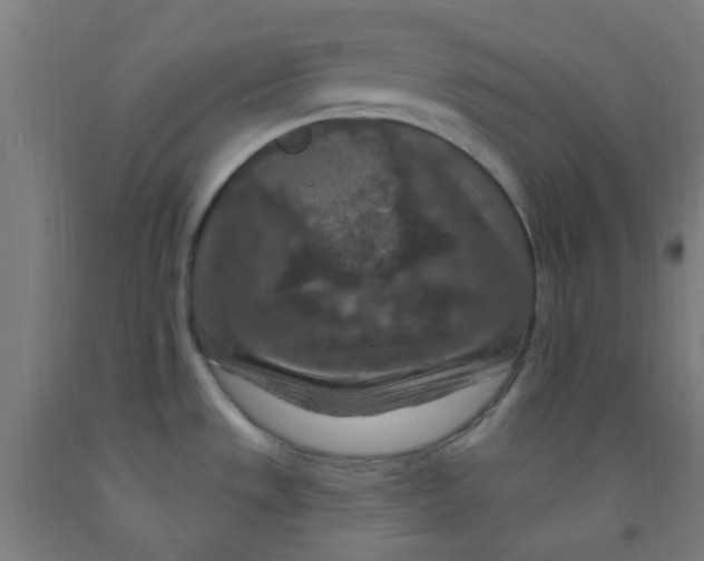 X0000092031533200709271559