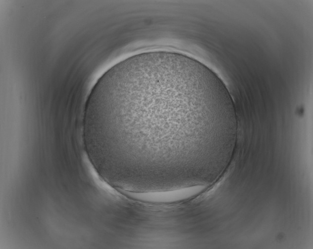 X0000092031534200709271559