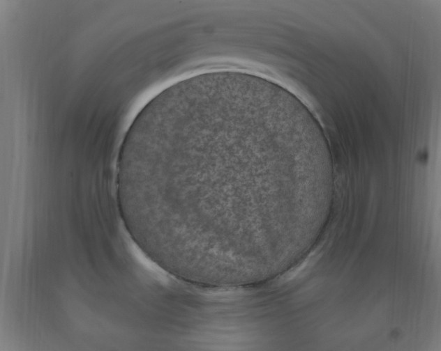 X0000092031535200709271559